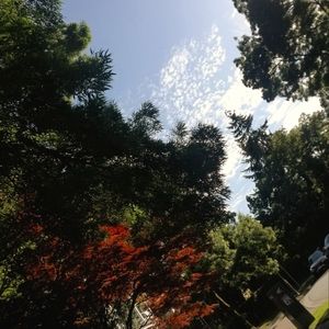 Meet your Posher, Lucia